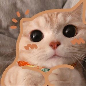 Meet your Posher, Vivian